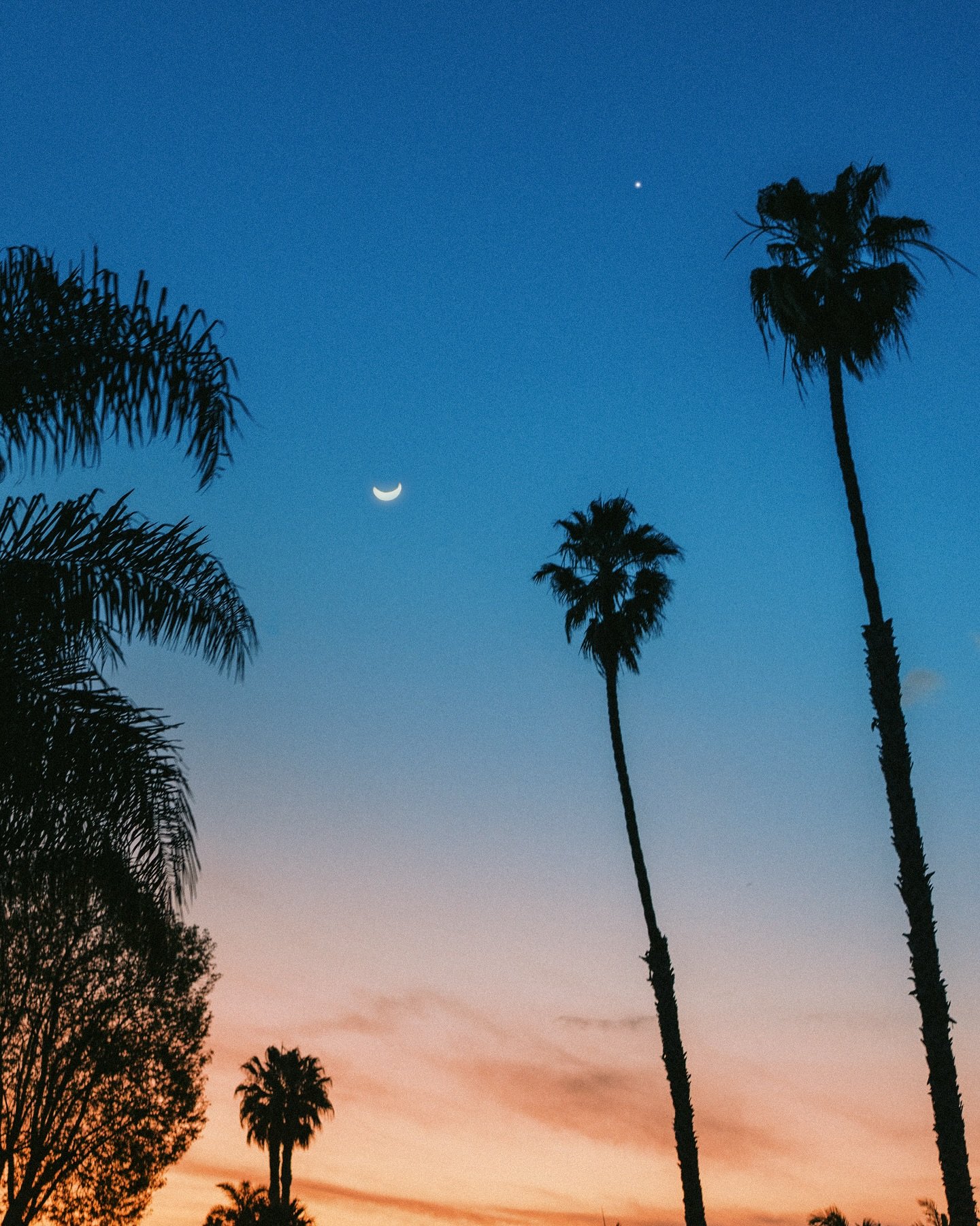 California vibes, in the most cliche way(: